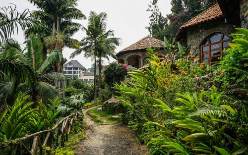 Uganda Gorilla Habituation and Lake Bunyonyi Tour