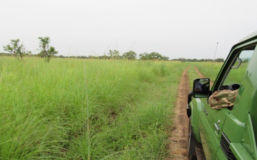 Pian Upe Game Reserve