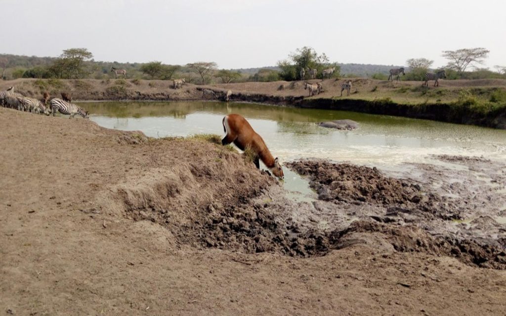 Lake Mburo National Park