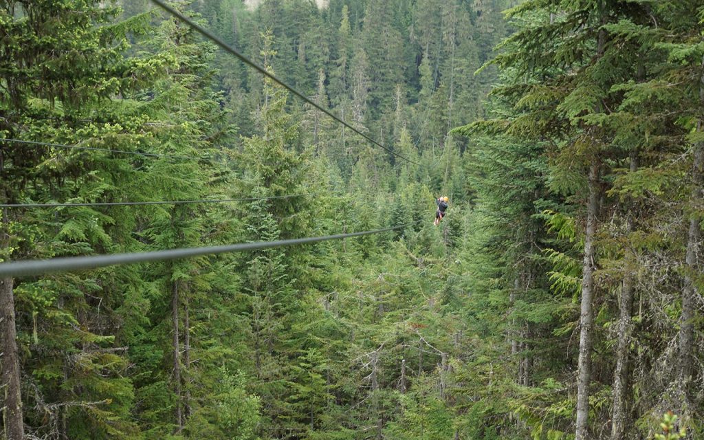 Zip Line