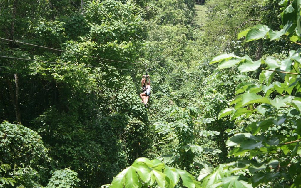 Zip Lining