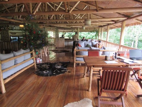 buhoma lodge in bwindi impenetrable national park