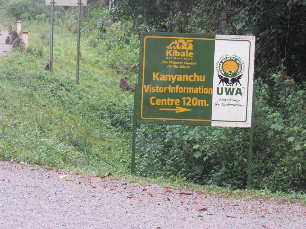 Kibale national park