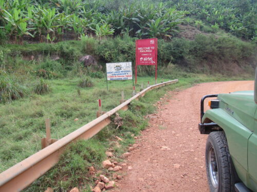 getting to  bwindi impenetrable national park