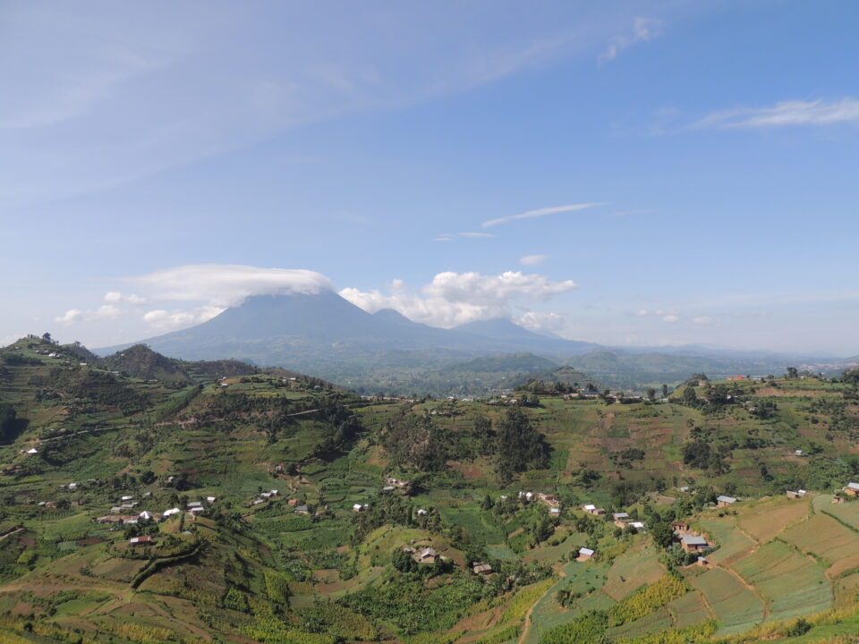 Panoramic view of the three Virunga Volcanoes—Muhabura, Mgahinga, and Sabinyo—as seen from Rushaga sector in Bwindi Impenetrable National Park, Uganda