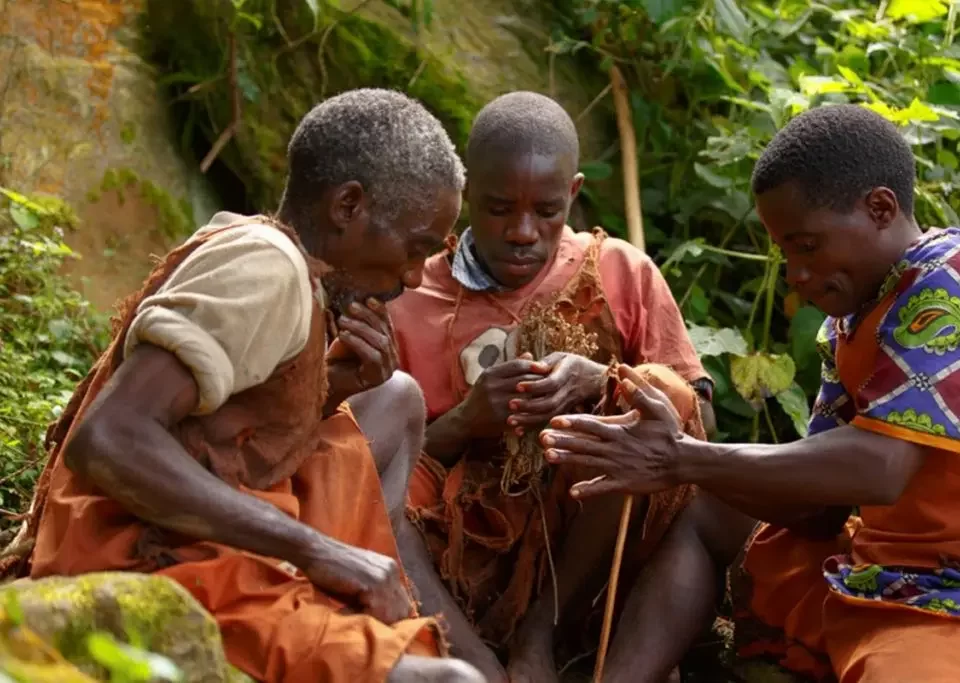 Three Batwa individuals demonstrating traditional fire-lighting techniques during a Batwa cultural experience in Bwindi Impenetrable Forest, Uganda.
