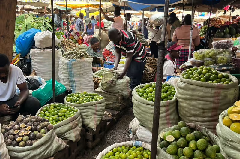 e2e448dc818778549cbaa356e2d77c195b8ecca82aead8327eb18b7ab62ffb72